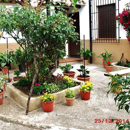 Vila Casa Del Abuelo 1 Yeste Exteriér fotografie