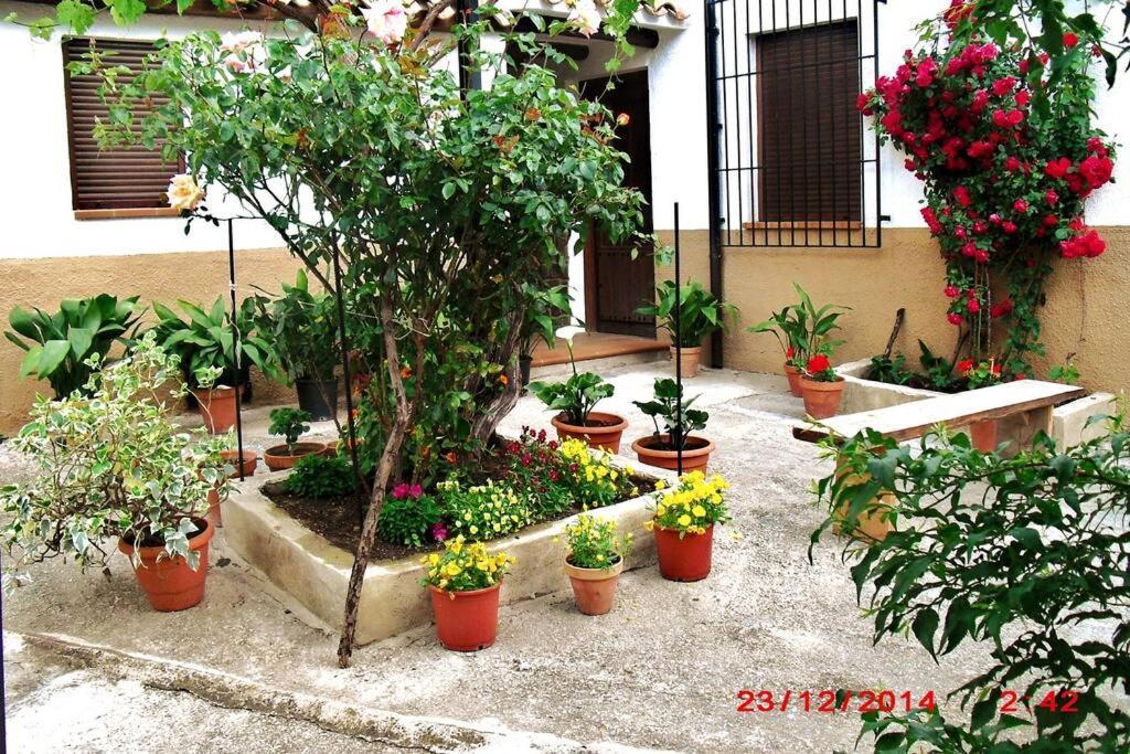 Vila Casa Del Abuelo 1 Yeste Exteriér fotografie